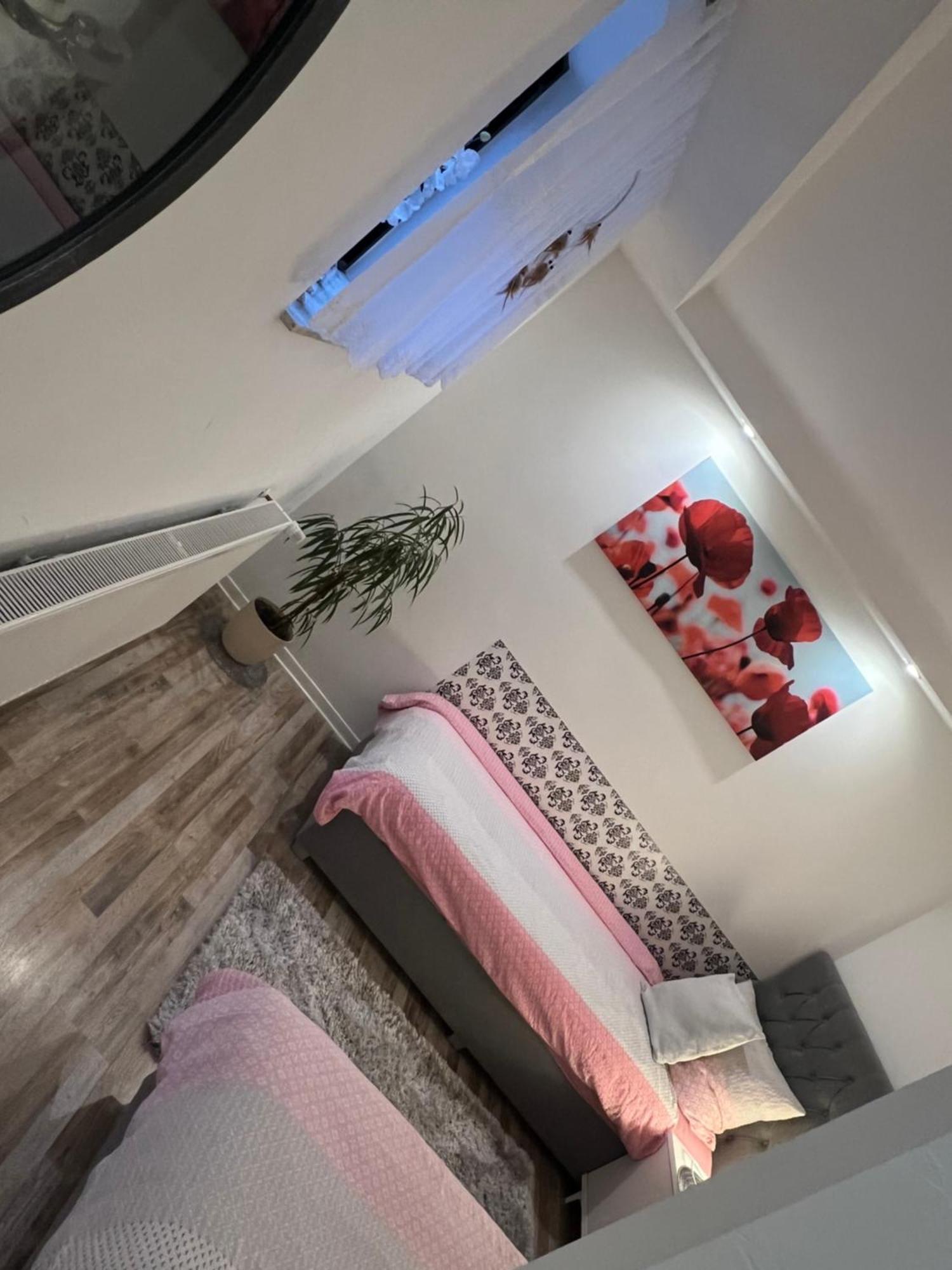 Beti Apartment 2 Nentershausen  Kültér fotó